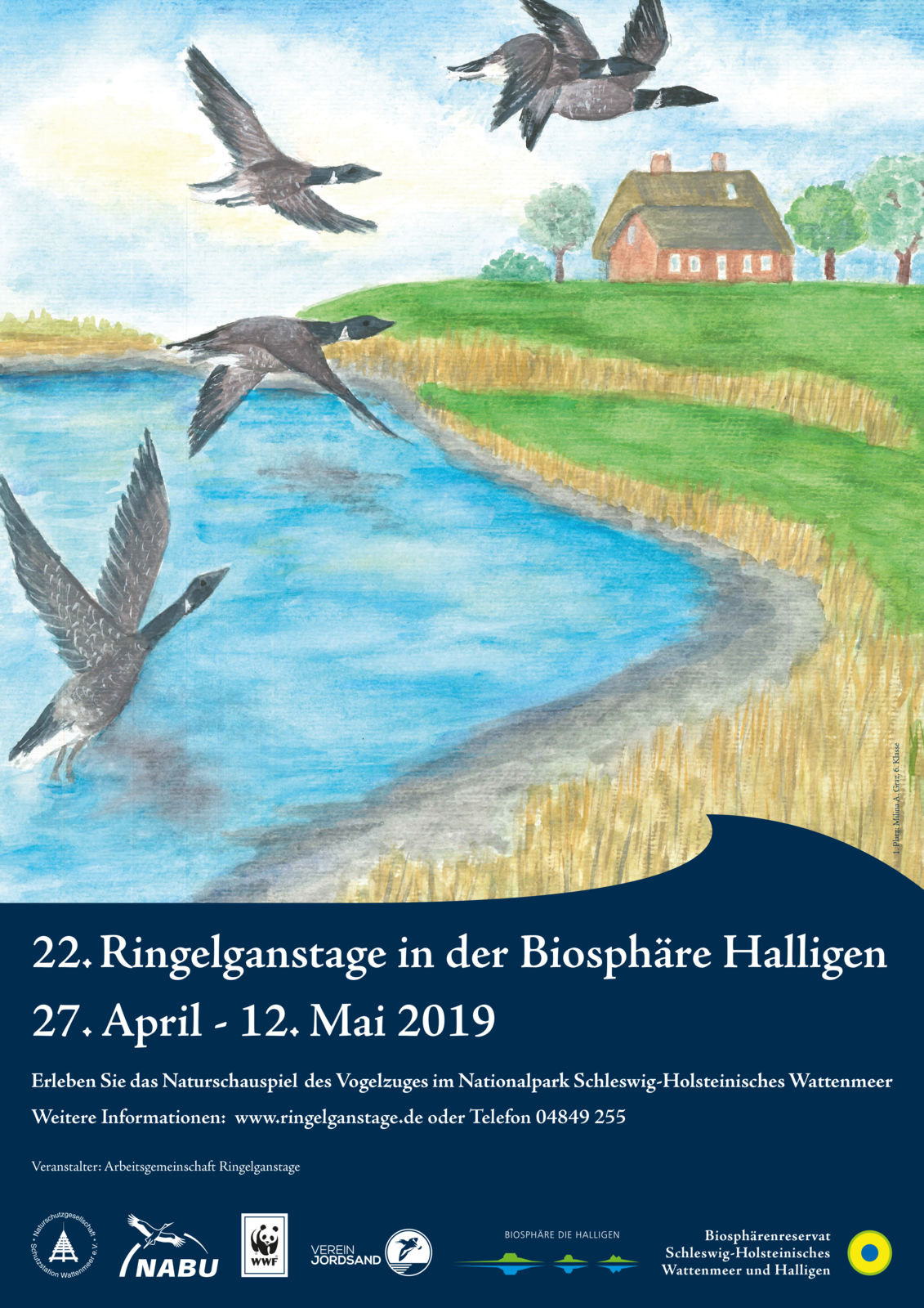 Plakat 2019 Plakat der Ringelganstage 2019